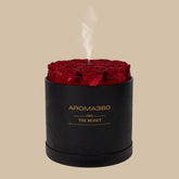 The Monet Scent Diffuser