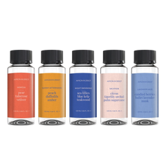 Seasonal Collection (Summer) Discovery Set